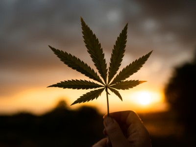 cannabis-stigma-is-alive-and-well-in-us.
