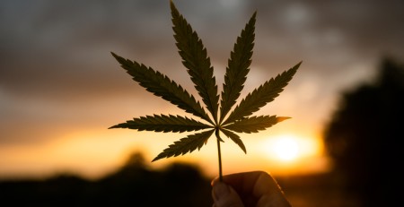 cannabis-stigma-is-alive-and-well-in-us.