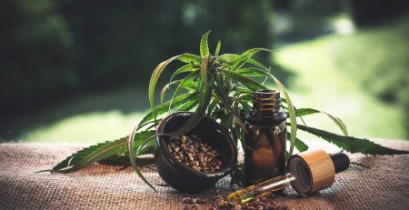 guide-to-nourish-yourself-the-best-with-cbd-products