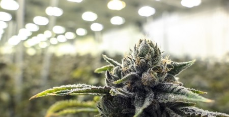 hoping-2025-looks-better-for-the-industry-than-the-past-couple-of-years