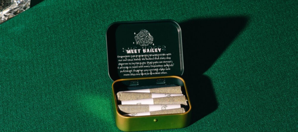 q&a:-talking-small-joints-with-dogwalkers