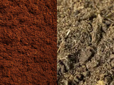 coco-vs.-peat-moss-for-cannabis-cultivation