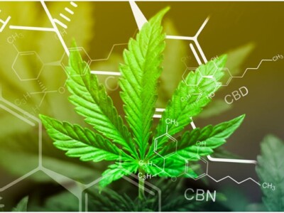 5-reasons-to-use-an-anti-thc-mouth-spray-before-bed
