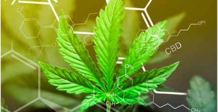 5-reasons-to-use-an-anti-thc-mouth-spray-before-bed