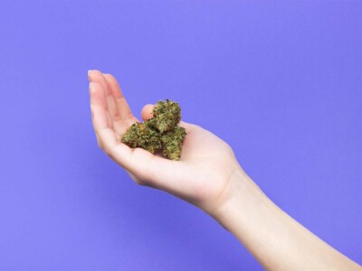 treatment-resistant-epilepsy-patients-see-improvement-with-medical-cannabis,-uk-study-finds