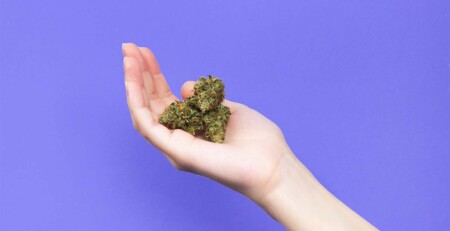 treatment-resistant-epilepsy-patients-see-improvement-with-medical-cannabis,-uk-study-finds