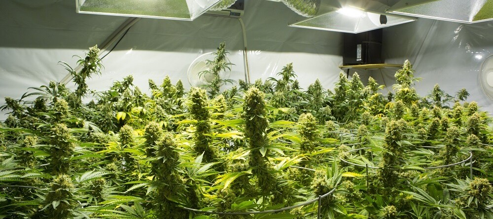 first-ever-indie-change-in-seattle-april-29