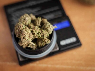 legal-cannabis-has-almost-eliminated-the-black-market-in-canada