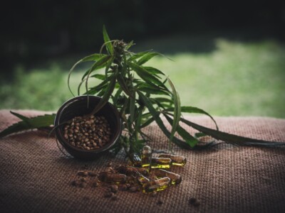 why-cbd-enthusiasts-are-turning-to-premium-cannabis-light-in-2025