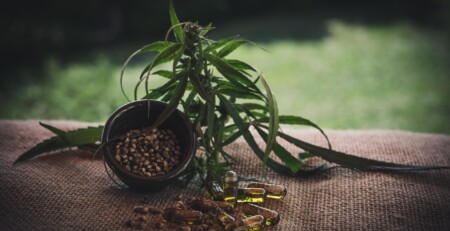 why-cbd-enthusiasts-are-turning-to-premium-cannabis-light-in-2025