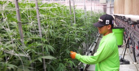 green-horizons:-cash-flow-positive-within-first-year