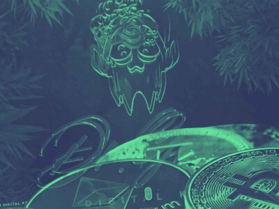 dr-green-digital-key:-the-claims,-the-concerns,-and-why-we’re-investigating