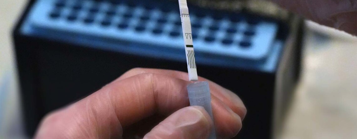 uk-drug-checking-charity-the-loop-launches-fundraising-campaign 