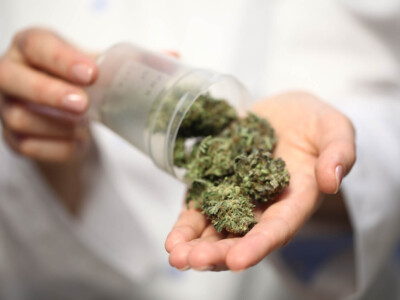 90%-of-germans-now-get-their-cannabis-from-legal-sources,-survey-shows 