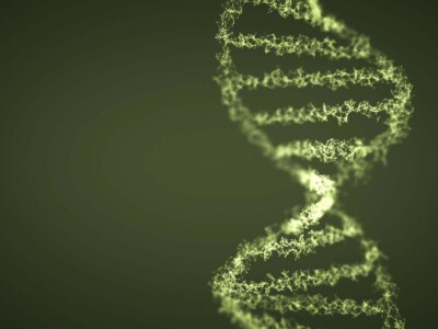 scientists-identify-genes-linked-to-frequent-cannabis-use-in-largest-genetic-study-to-date