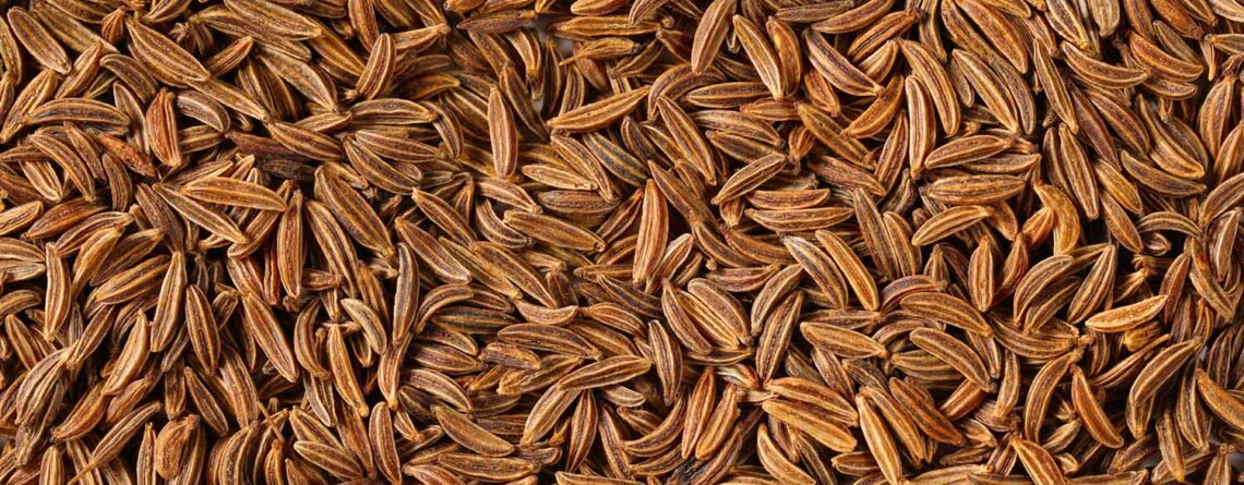 scientists-develop-cbd-like-epilepsy-treatment-from-caraway-seeds