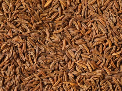scientists-develop-cbd-like-epilepsy-treatment-from-caraway-seeds