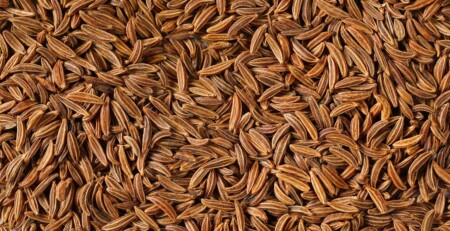 scientists-develop-cbd-like-epilepsy-treatment-from-caraway-seeds