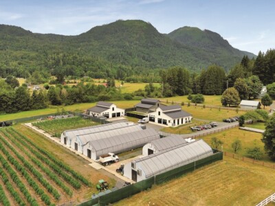 ceres-garden:-operational-strategy-and-brand-positioning-in-washington’s-cannabis-market