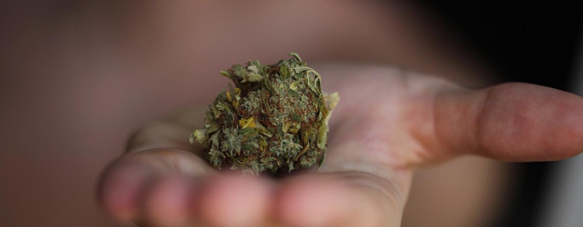 cannabis-provides-short-term-relief-for-autism-symptoms,-study-finds