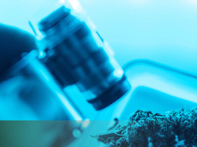 number-of-published-cannabis-studies-grows-for-fifth-consecutive-year