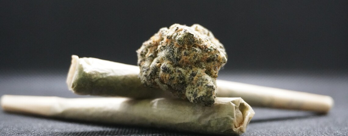 from-seed-to-sale:-how-strategic-long-form-copy-supports-a-cannabis-business