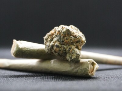 from-seed-to-sale:-how-strategic-long-form-copy-supports-a-cannabis-business