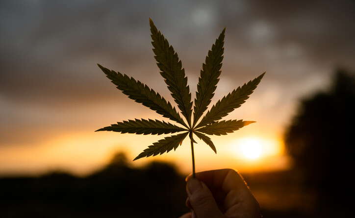 schedule-iii-changed-your-leverage-with-banks-here’s-how-smart-dispensaries-will-use-it.
