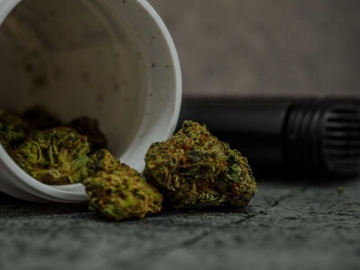 a-few-people-in-the-uk-aren’t-getting-arrested-for-cannabis-and-we-should-be-angry-about-it,-the-daily-mail-says