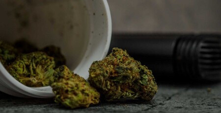 a-few-people-in-the-uk-aren’t-getting-arrested-for-cannabis-and-we-should-be-angry-about-it,-the-daily-mail-says