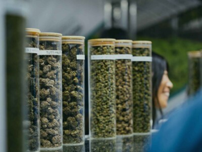 the-cannabis-events-you-don’t-want-to-miss-in-2026