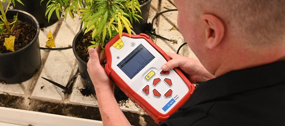 product-spotlight:-pamap