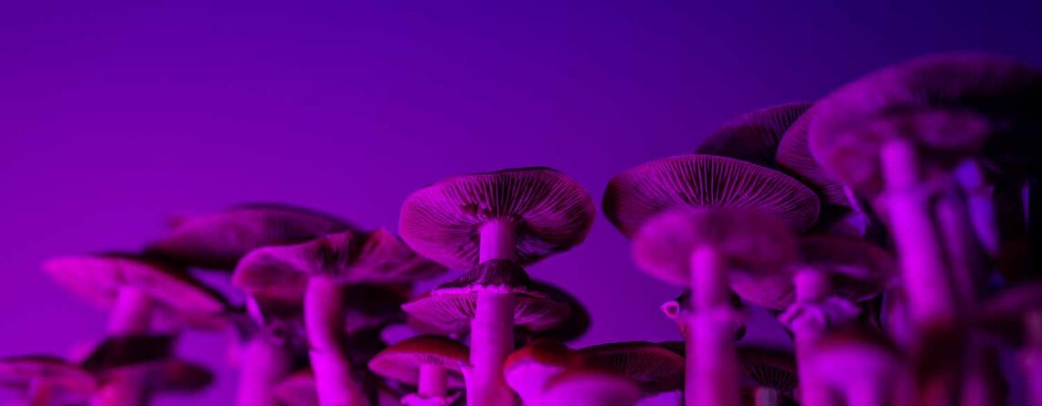 psilocybin-could-combat-post-treatment-lyme-disease,-new-study-finds