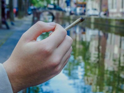 the-dutch-legal-cannabis-experiment-one-year-on