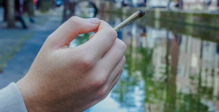 the-dutch-legal-cannabis-experiment-one-year-on
