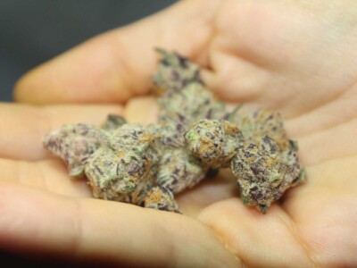 majority-of-brits-support-cannabis-reform,-yougov-survey-finds