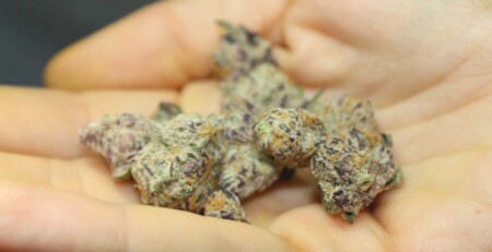 majority-of-brits-support-cannabis-reform,-yougov-survey-finds