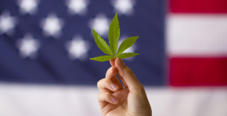 loaded-question:-do-you-still-feel-the-momentum-for-legalizing-cannabis-is-moving-in-the-right-direction?