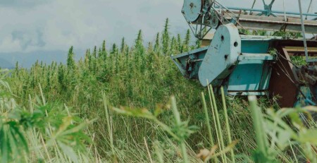 could-a-new-cbd-plastic-fix-our-pollution-problems?