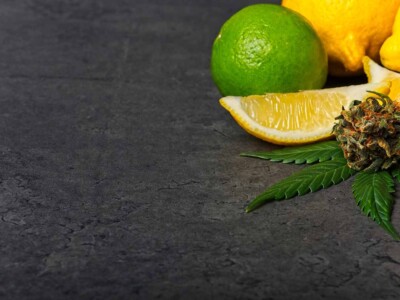 cannabis-compounds-can-alleviate-fibromyalgia-pain-without-the-high