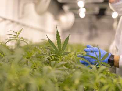 regulatory-capsule:-three-lessons-brazil-can-learn-from-colombian-medical-cannabis-experience