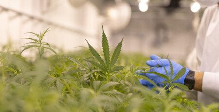 regulatory-capsule:-three-lessons-brazil-can-learn-from-colombian-medical-cannabis-experience
